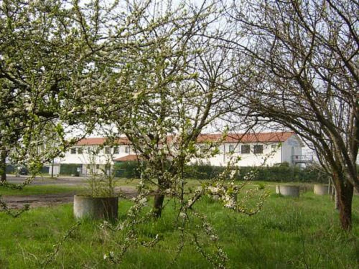 Hotel Lory Ficarolo Eksteriør bilde